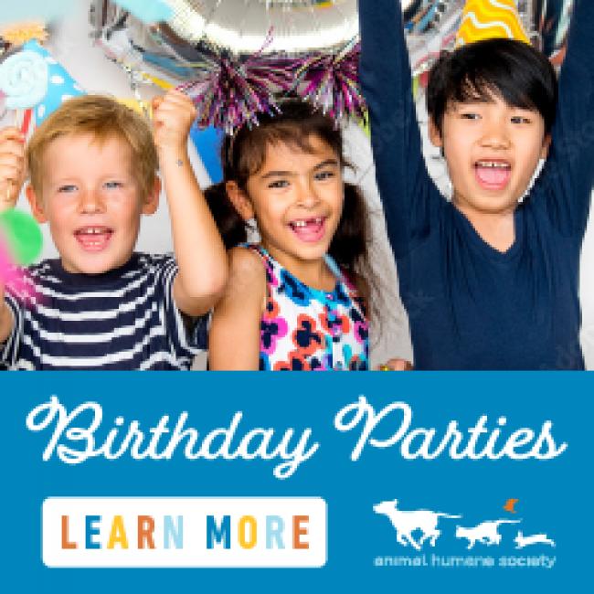 A group of children smiling at their SEA LIFE birthday party. 