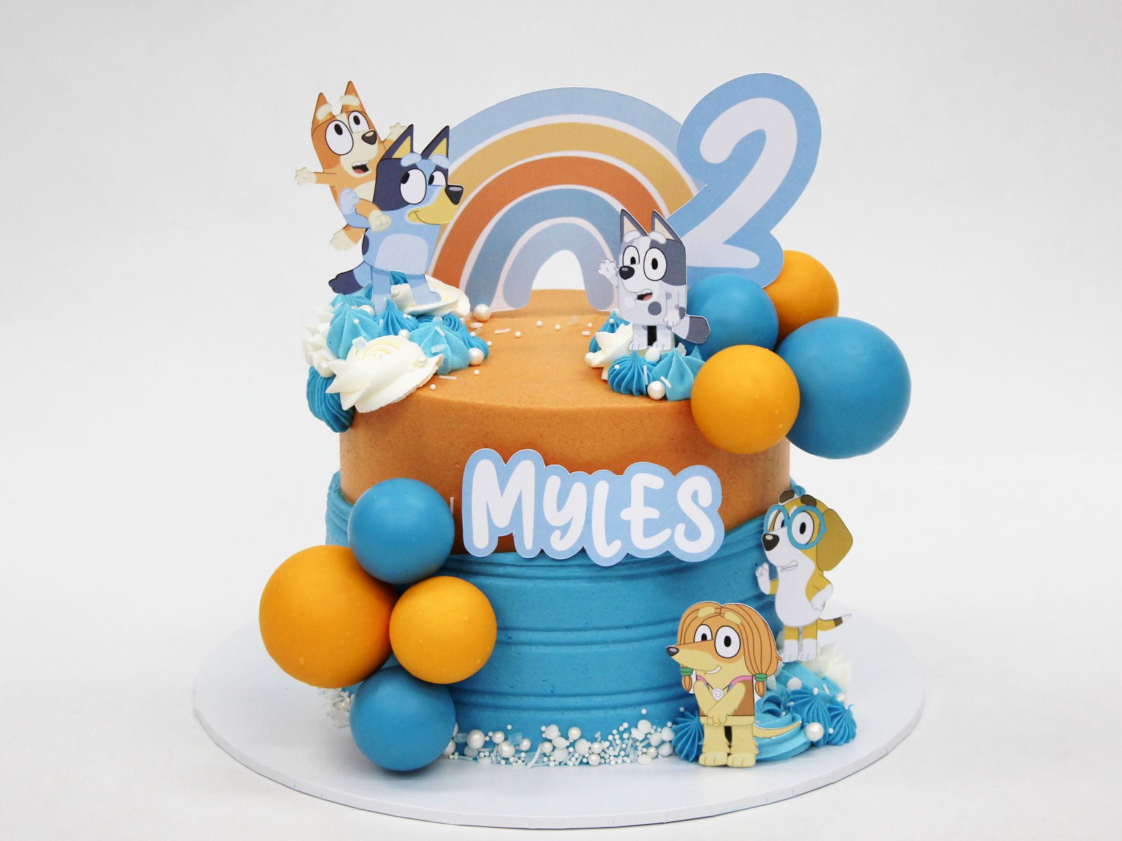 The Bluey Adventure Cake